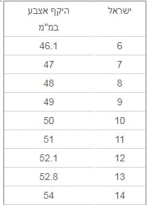 טבעת יוקרה-Silver Ring Hearts Arrows Zircon – תמונה 6
